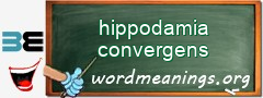 WordMeaning blackboard for hippodamia convergens